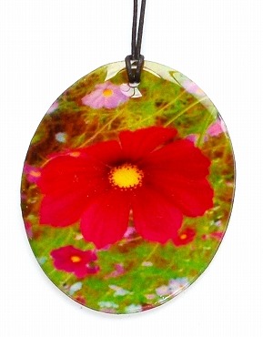 ��Â���y���_���g