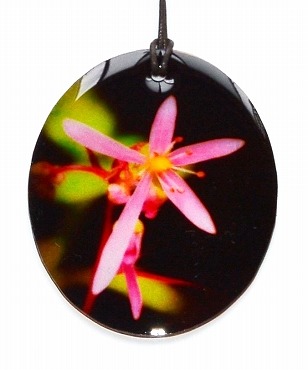 �R�쑐�y���_���g