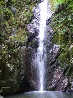 �O�g�s�@���ǂ̑�