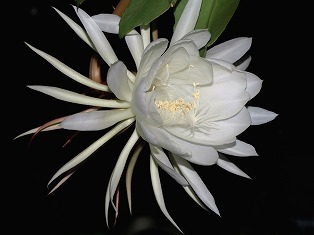 �������l