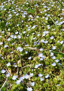 �I�I�C�k�m�t�O��