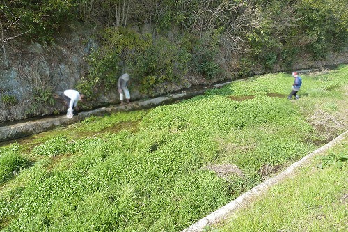 �O�g��Â���L�ł�