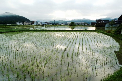 �O�g���L�A���̒n��́A�c�A�� �I����Ă��܂�