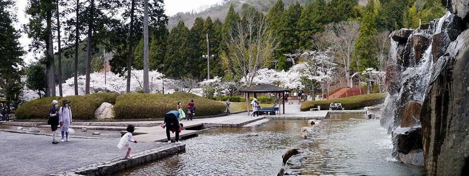 �݂킩�����