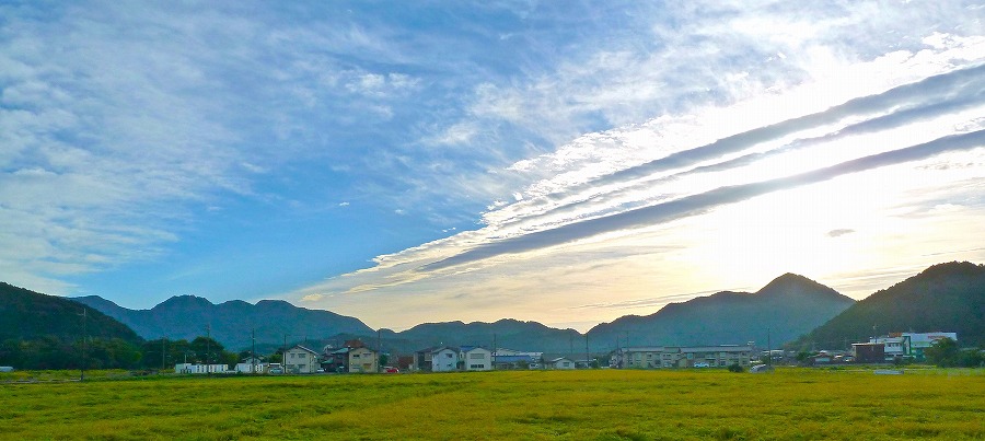 �O�g�̏H�̋�