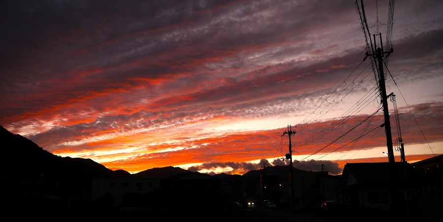 �O�g�̗[�Ă�